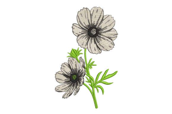 Wildflower Sketch Duo – Modern Floral Charm